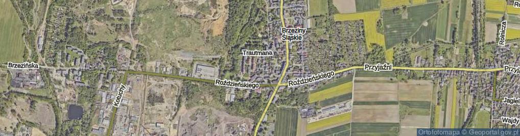 Zdjęcie satelitarne Miła ul.